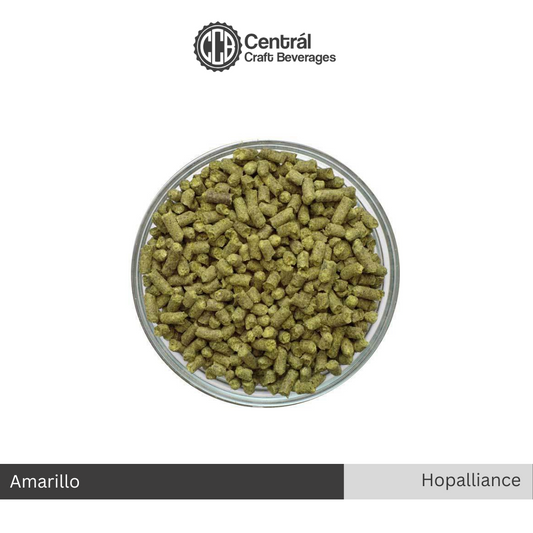Hopalliance - Amarillo